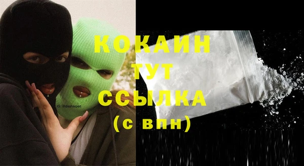 ПСИЛОЦИБИНОВЫЕ ГРИБЫ Горно-Алтайск