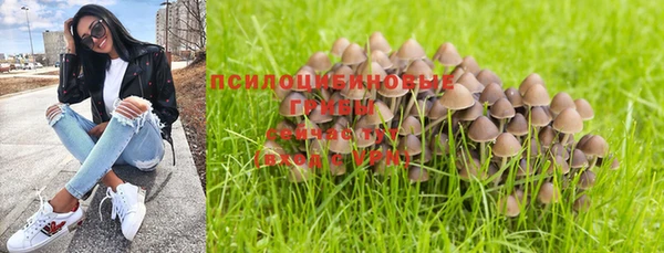 ALPHA-PVP Горняк