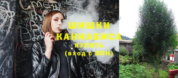 ПСИЛОЦИБИНОВЫЕ ГРИБЫ Горно-Алтайск