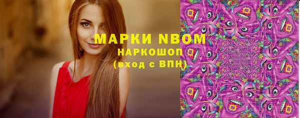ПСИЛОЦИБИНОВЫЕ ГРИБЫ Горно-Алтайск
