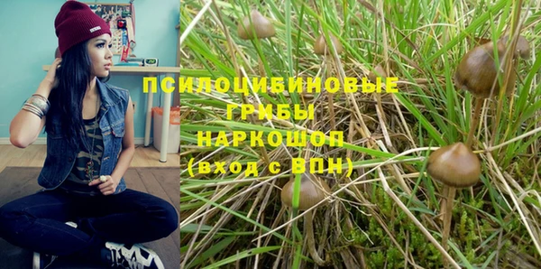 COCAINE Горнозаводск