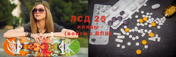 ПСИЛОЦИБИНОВЫЕ ГРИБЫ Горно-Алтайск
