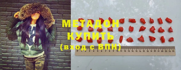ПСИЛОЦИБИНОВЫЕ ГРИБЫ Горно-Алтайск