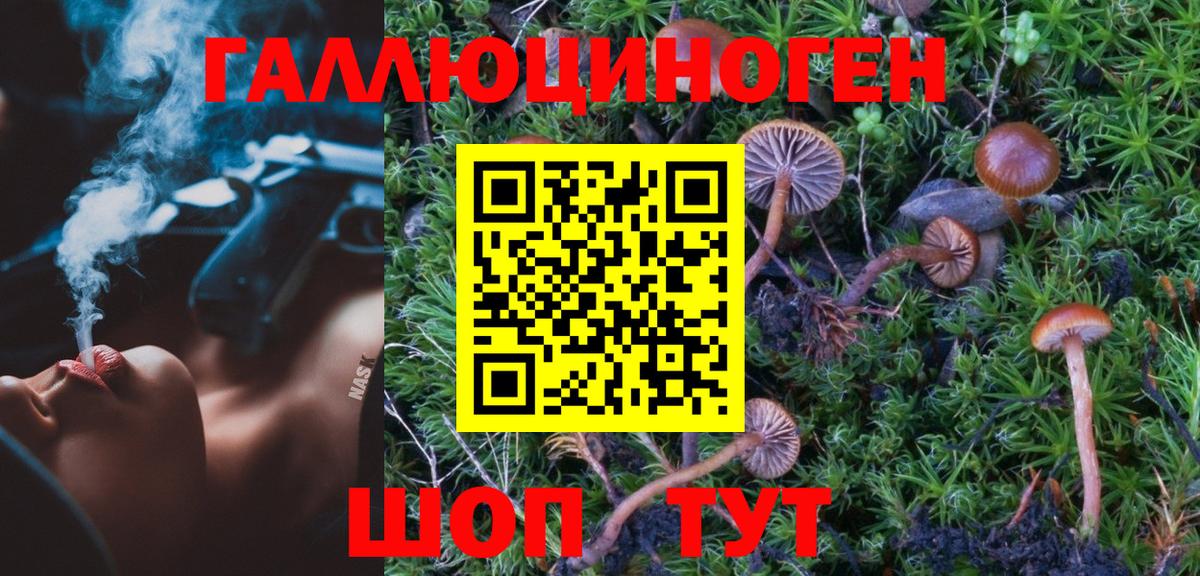 Галлюциногенные грибы Psilocybe Губаха