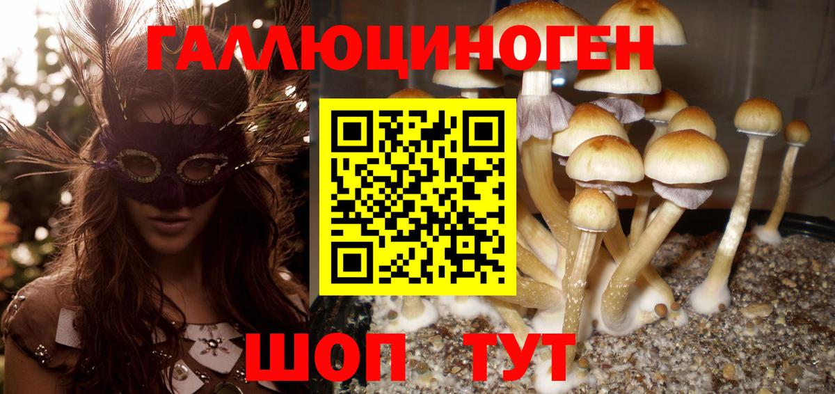 Псилоцибиновые грибы ЛСД  Вход с VPN  Губаха 